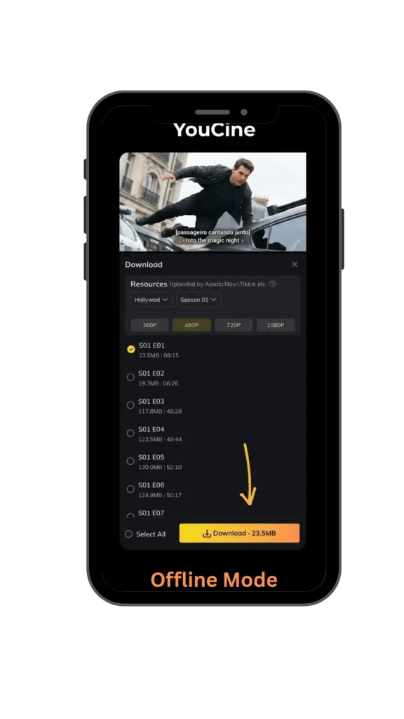 Recurso de Modo Offline